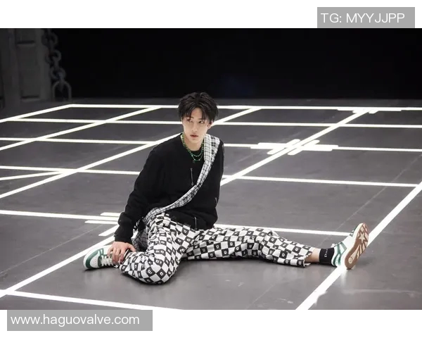 街舞实力榜单重磅发布展现舞者风采与竞争状态